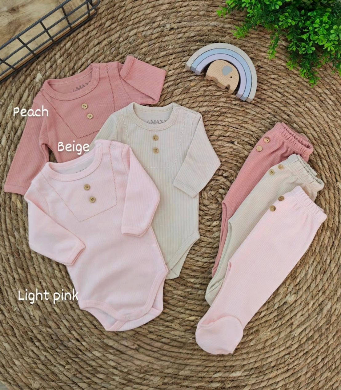 Basic Essential Pants Set (5pcs)