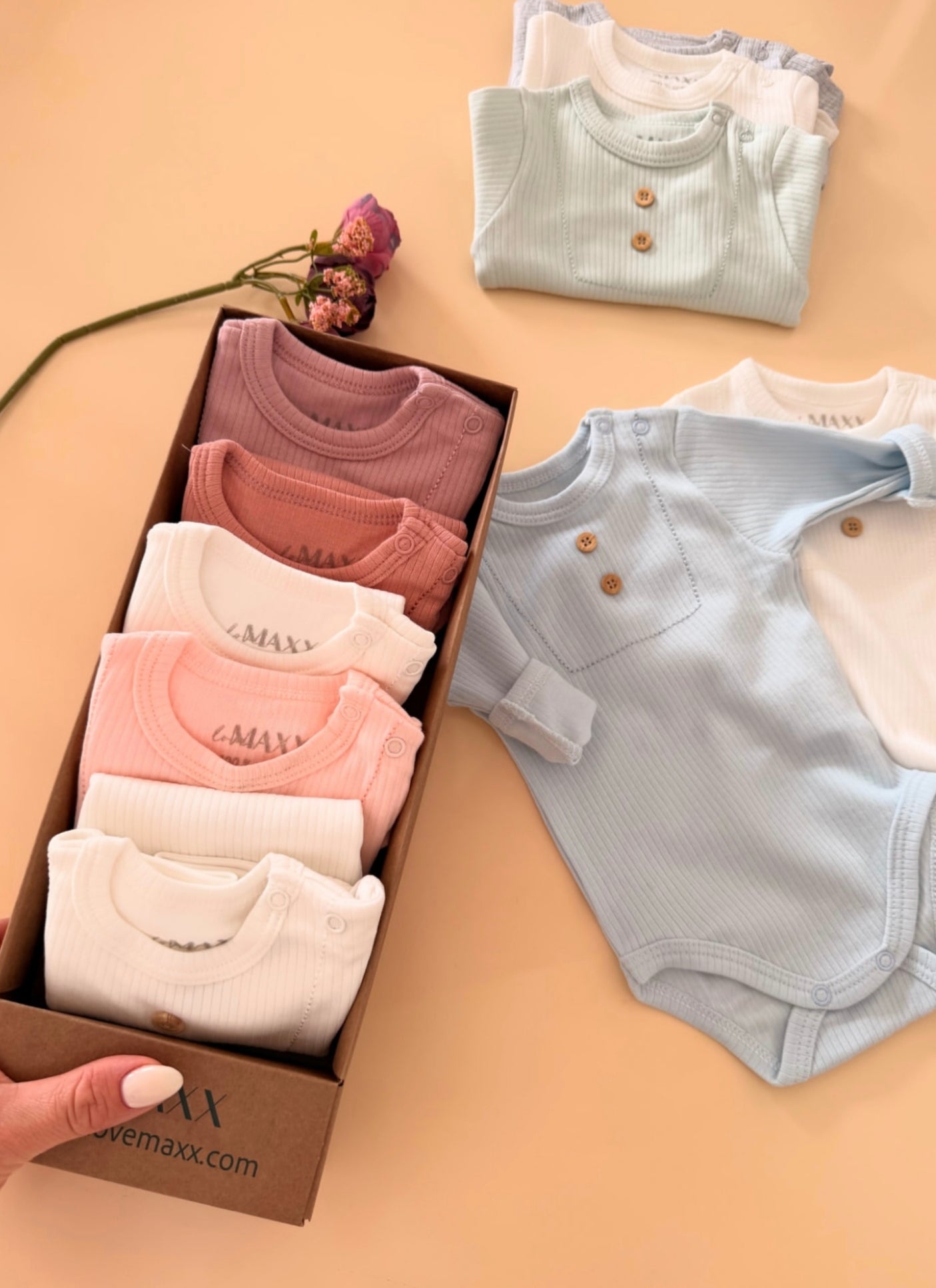 Basic Essential Bodysuit Set (5pcs)