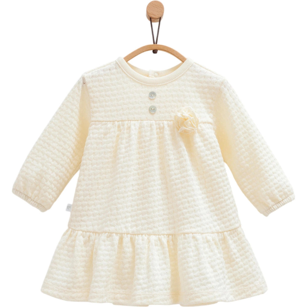 Flora Ruffled Baby Dress