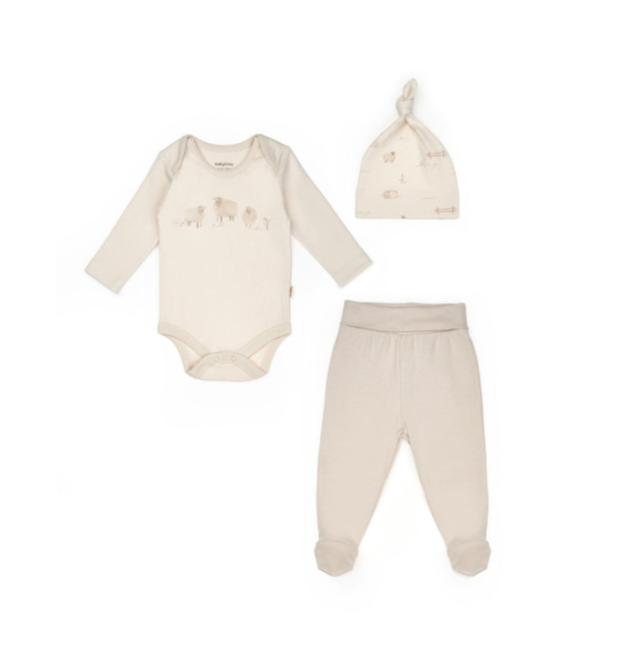 Comfy Sheep Set